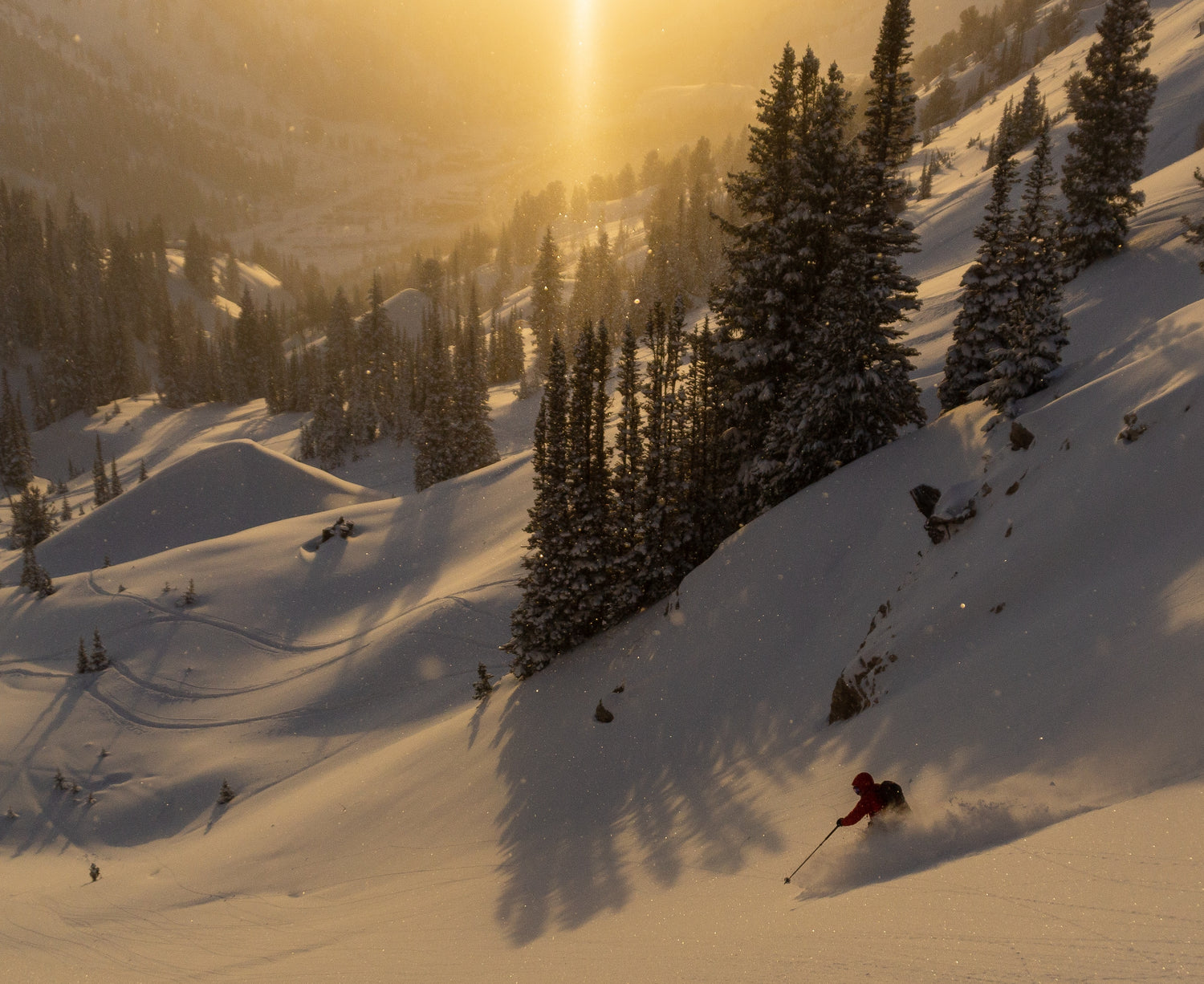 Ski & Snowboarding